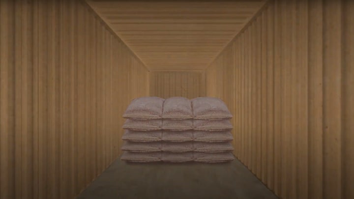 Container loaded with cocoa bags