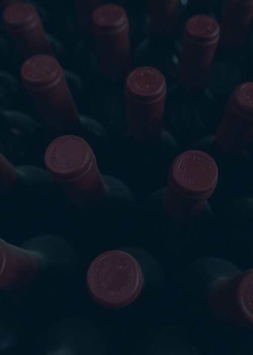 Overview shot of multiple bottles