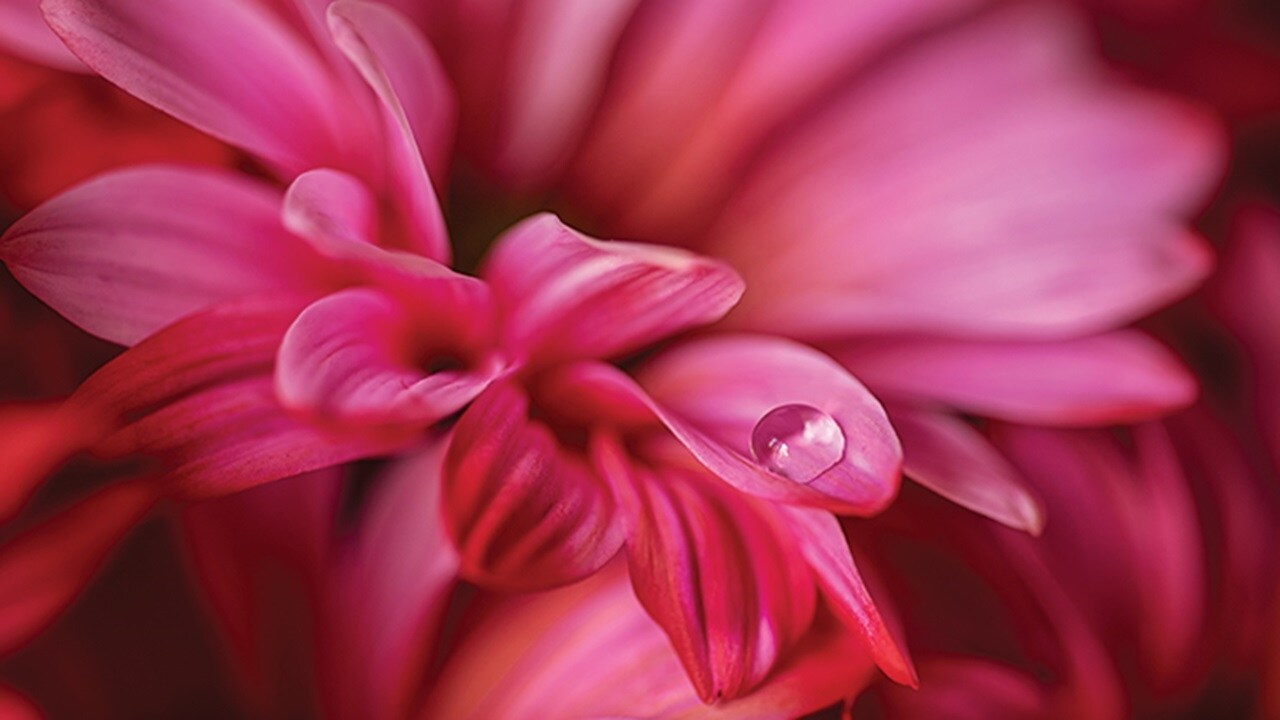 Happy mother and child holding rose