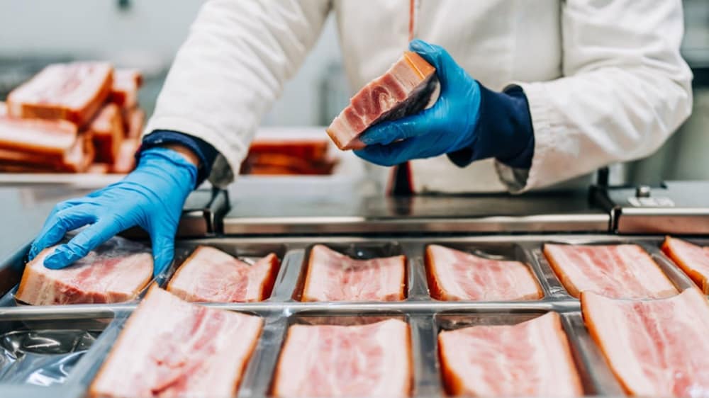 A worker in a white coat and blue gloves arranges strips of bacon on a tray in a food preparation area.