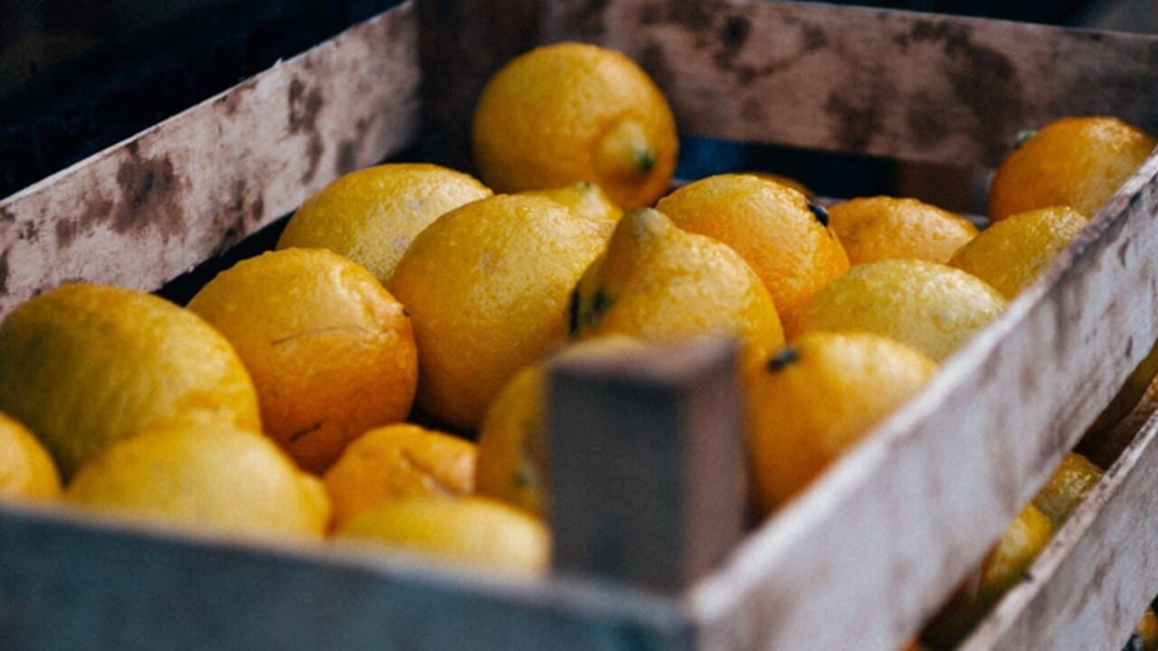 fruits and vegetables