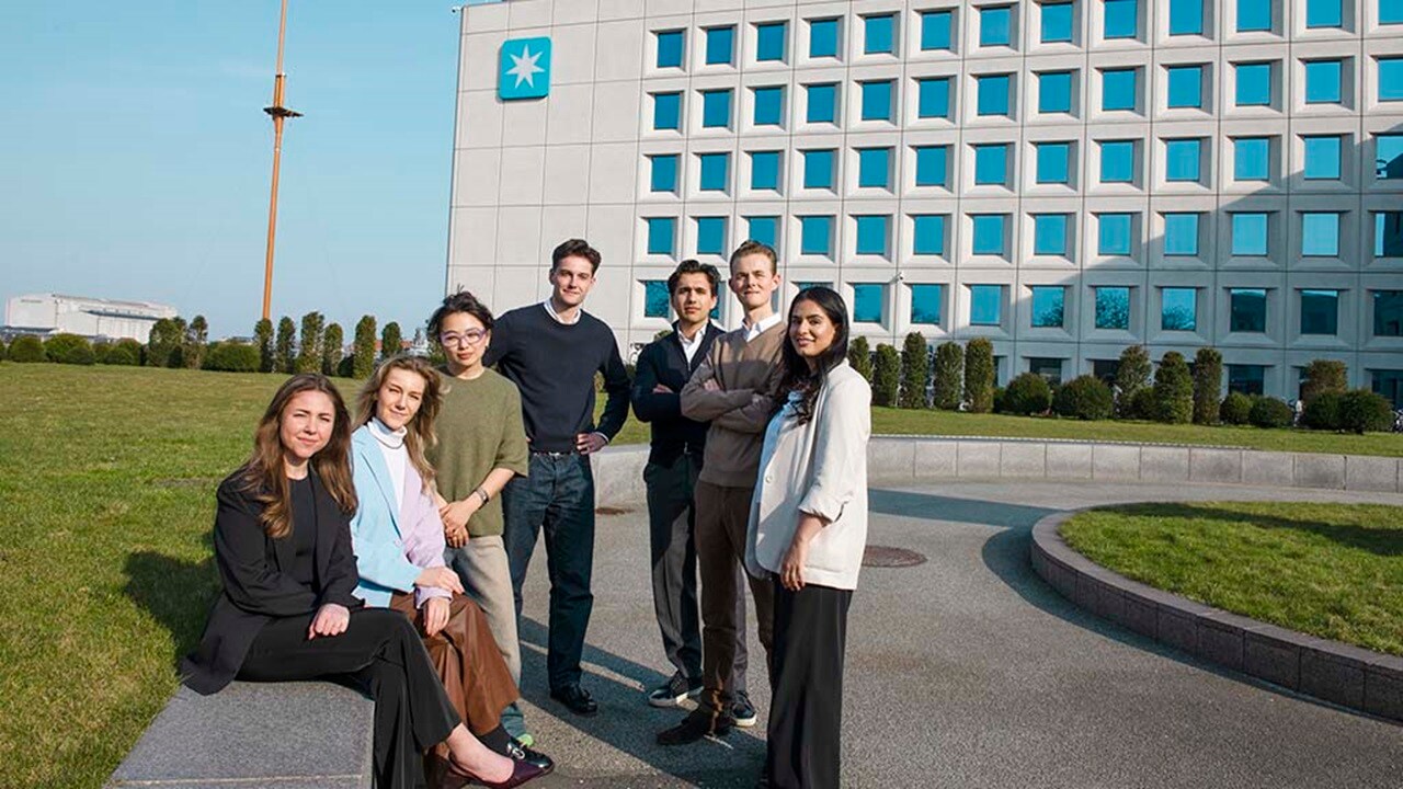 People at office meetings