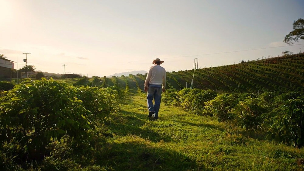 Maersk ESG - Man in farming field