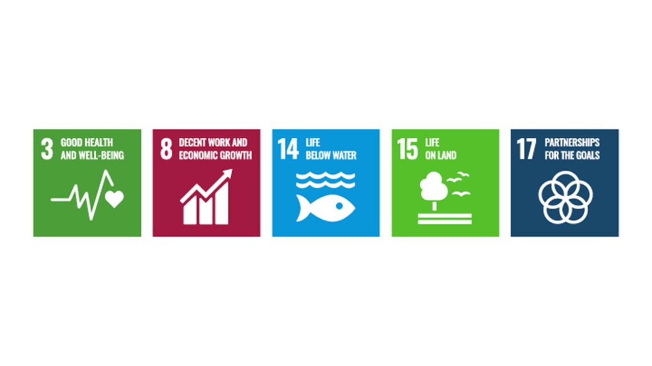 Environment and ecosystem