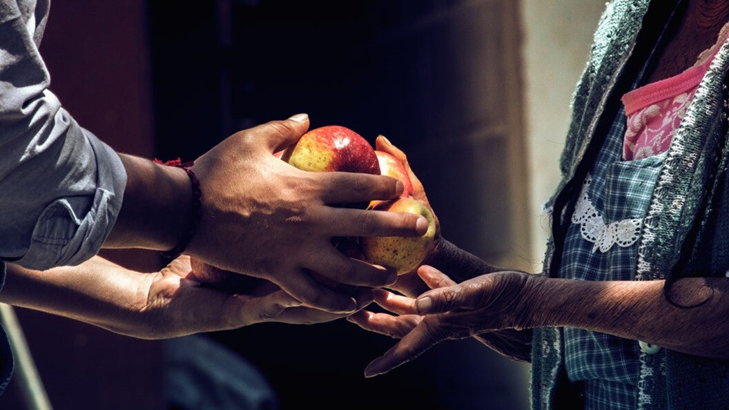 Fours hands holding apples