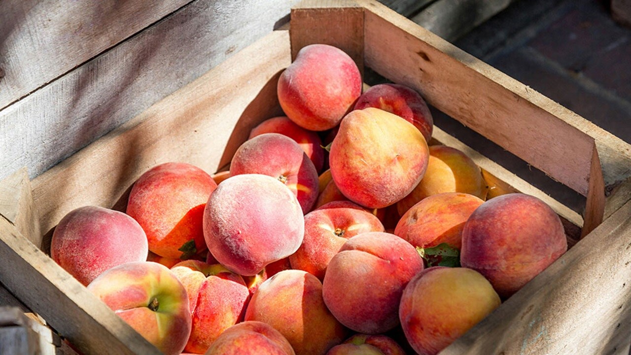 A yummy crate full of fresh Virginia peaches!