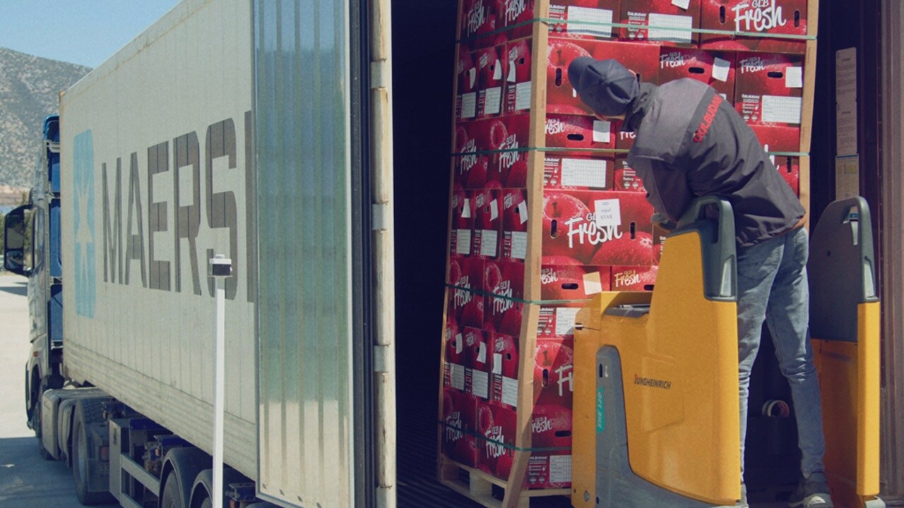 Male loading boxes filled with apples onto a Maersk truck