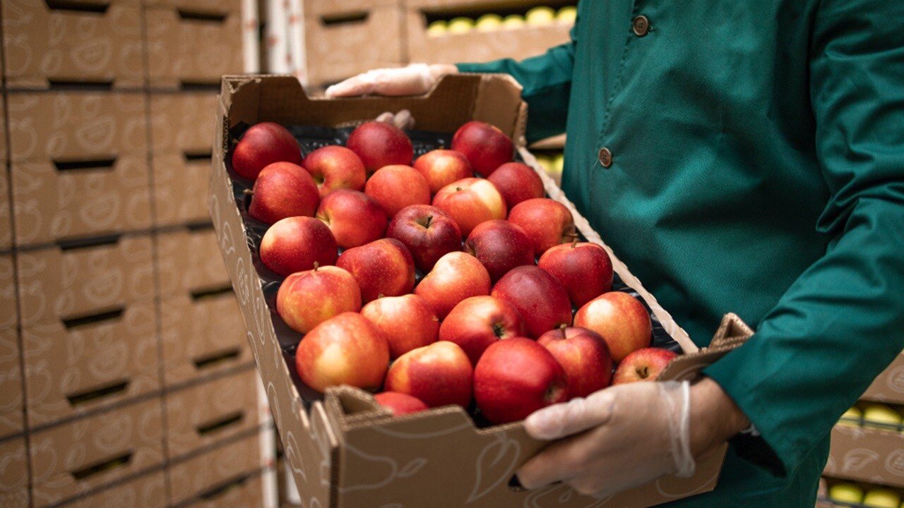 A set of hands holding a box full of apples