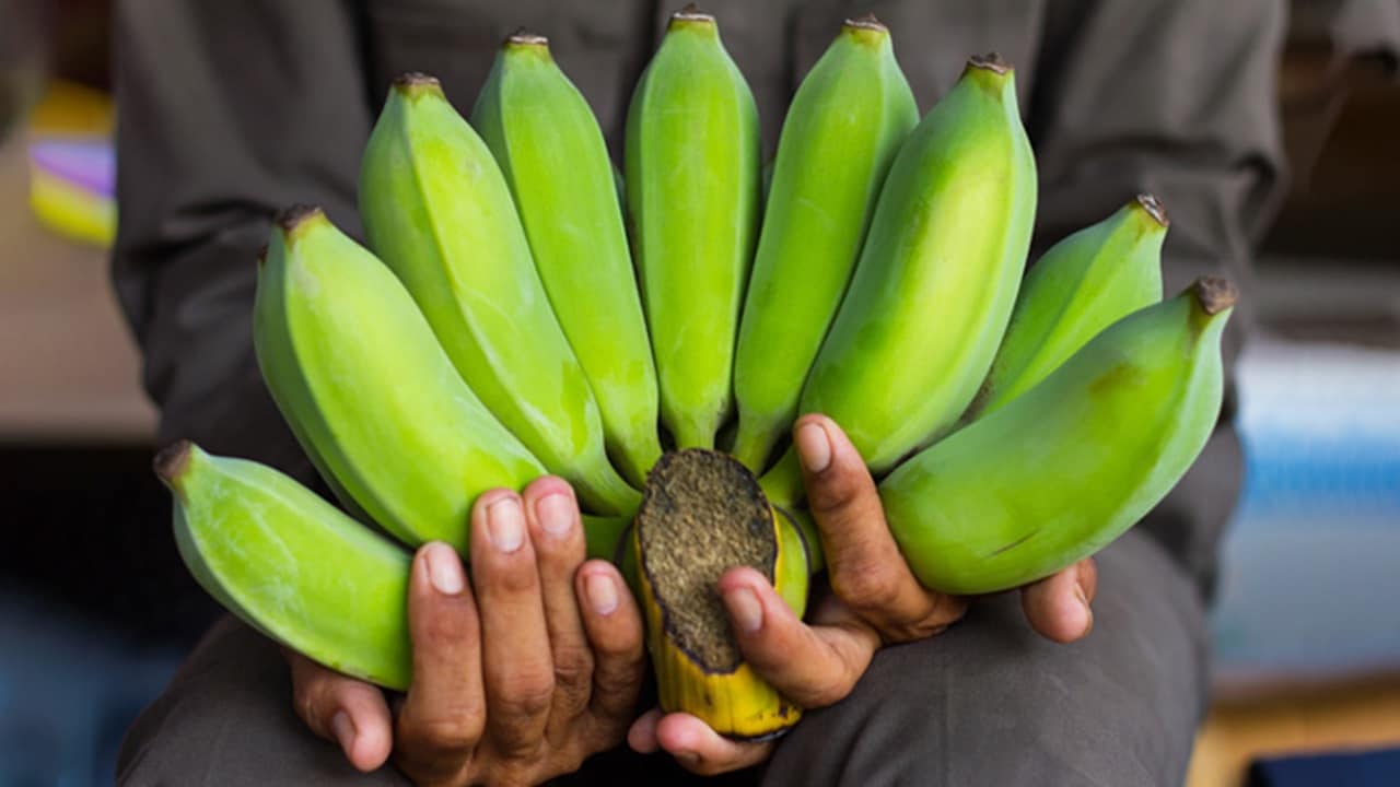 Cold Chain logistics services