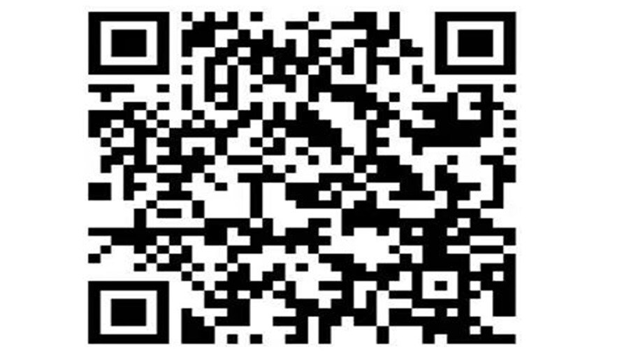 Spring festival holiday notice