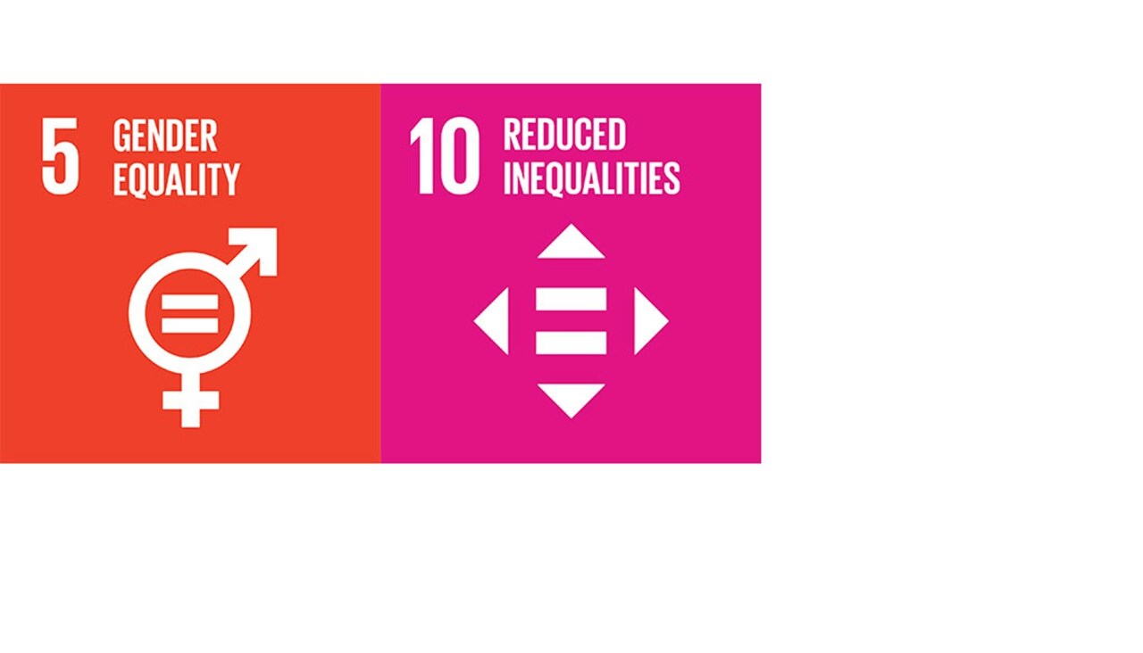 Diversity and inclusion goals