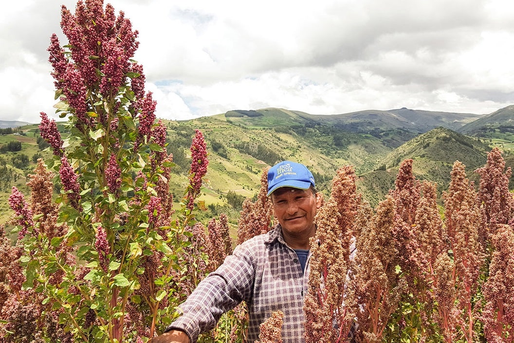 Multiplying the benefits of trade sustainability highlights