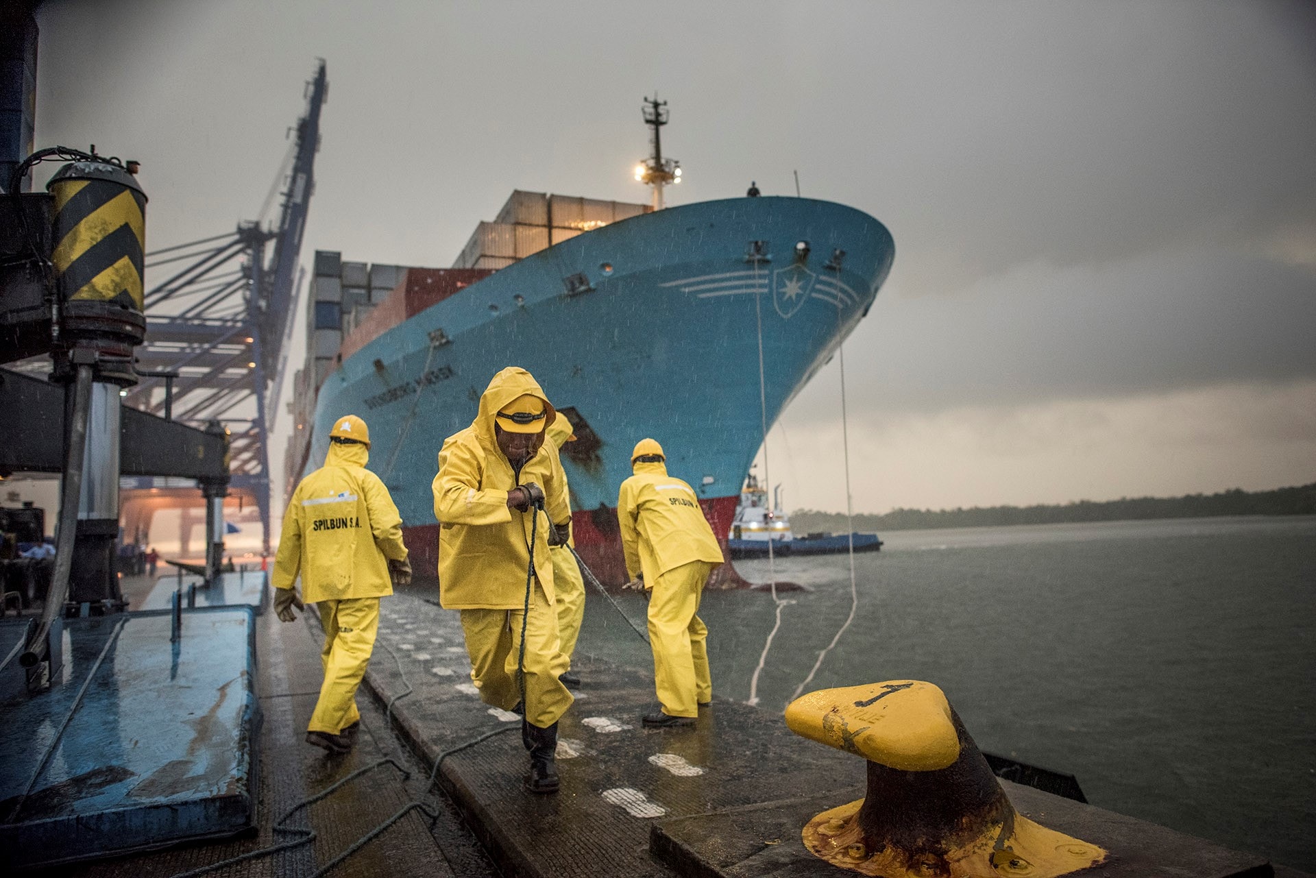 Gulf war oil spill case study picture