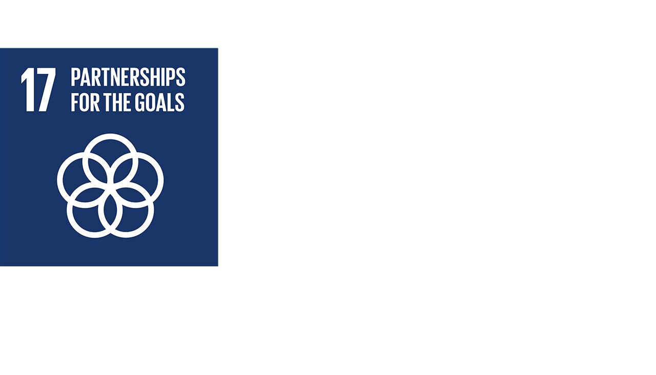 Disaster response goals