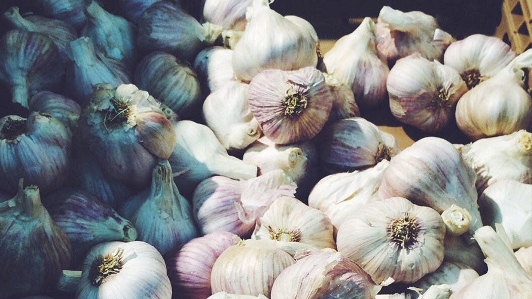 Flavouring the world through better logistics integration, garlic