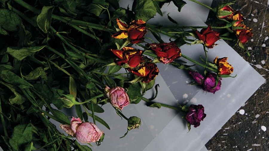 Ocean transport of Sian Flower’s produce