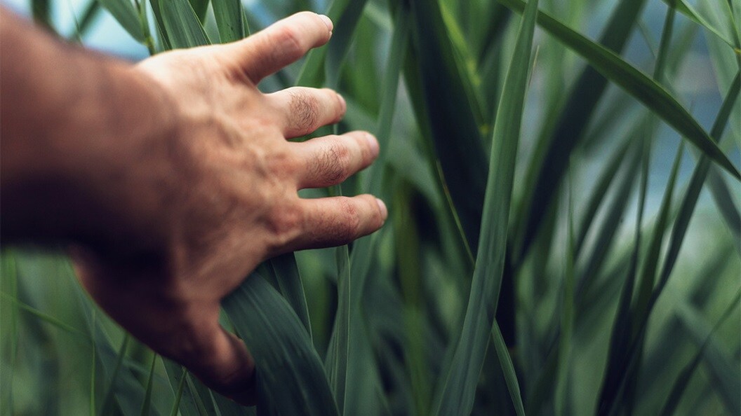 Unsplash our customers products