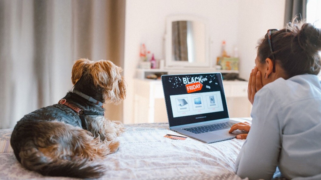 Women with a dog are looking at laptop