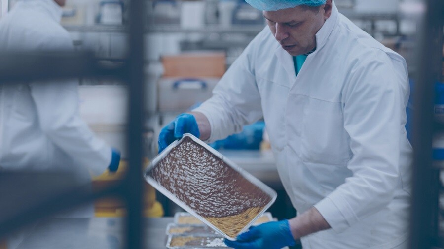 A chef making chocolate in the kitchen