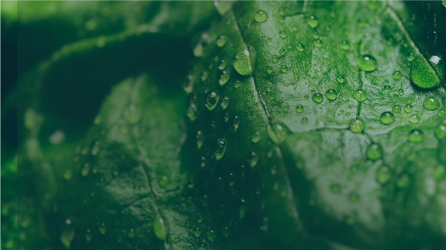 Maersk at LogiChem 2023