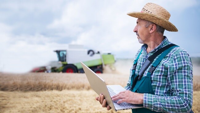farmer overlooking the farm