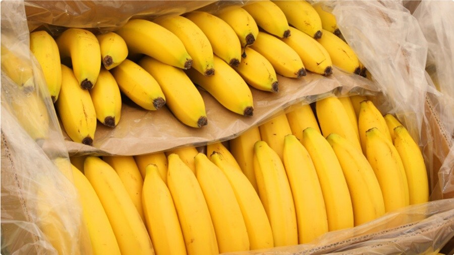 Packed Banana's