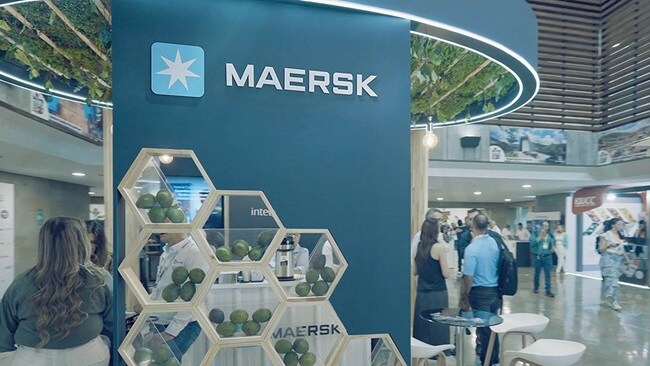 Elevating Colombian avocado logistics at Territorio Aguacate 2023