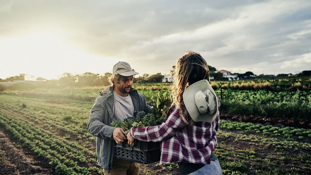 Female handing the basket full of vegetable to a male