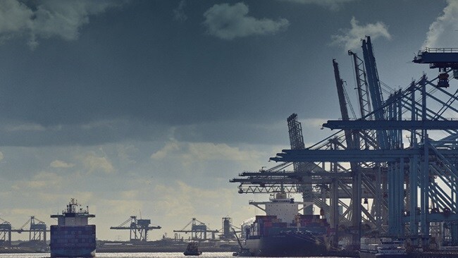 WCA Newsletter – November 2021