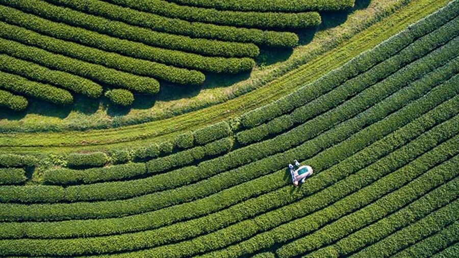 The effects on Latin America