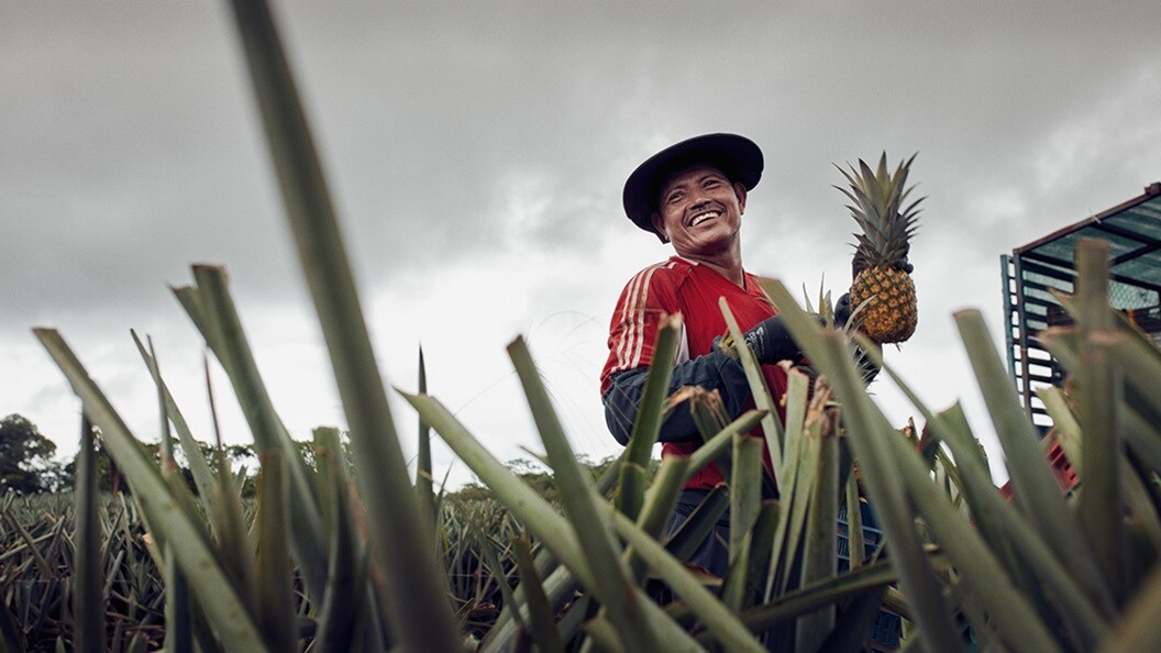 The pineapple express