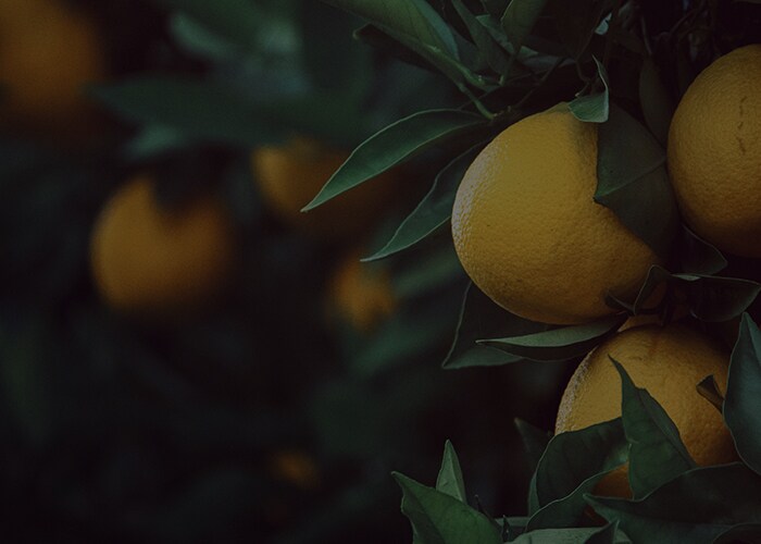 Remote Container Management