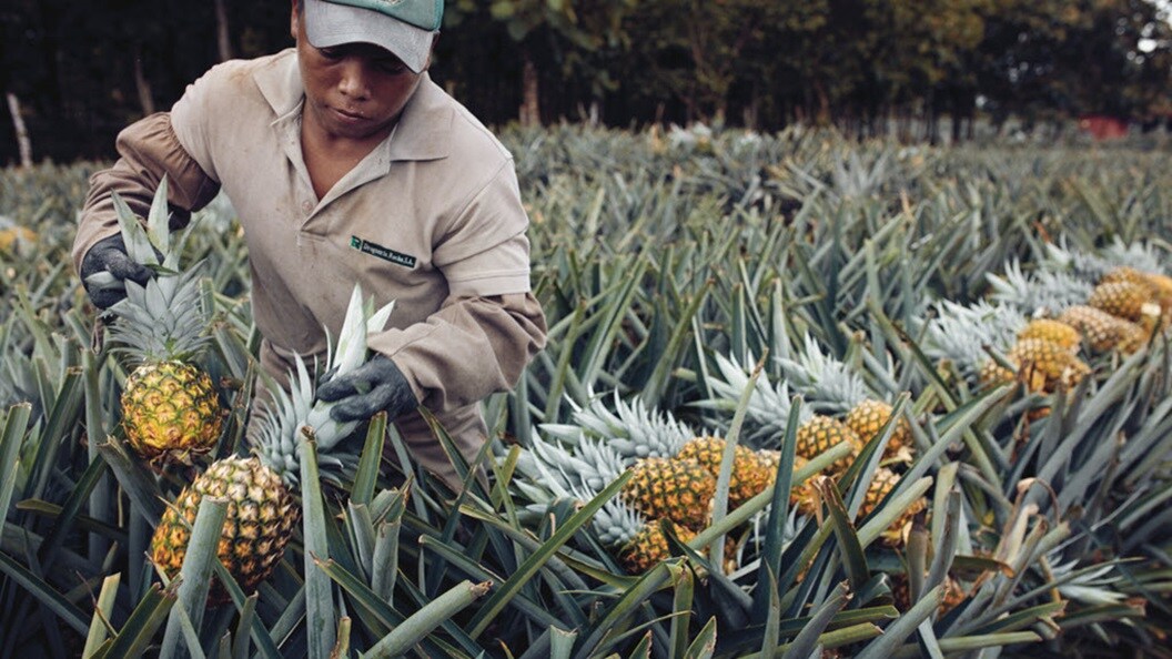 Keeping cool in a hot market