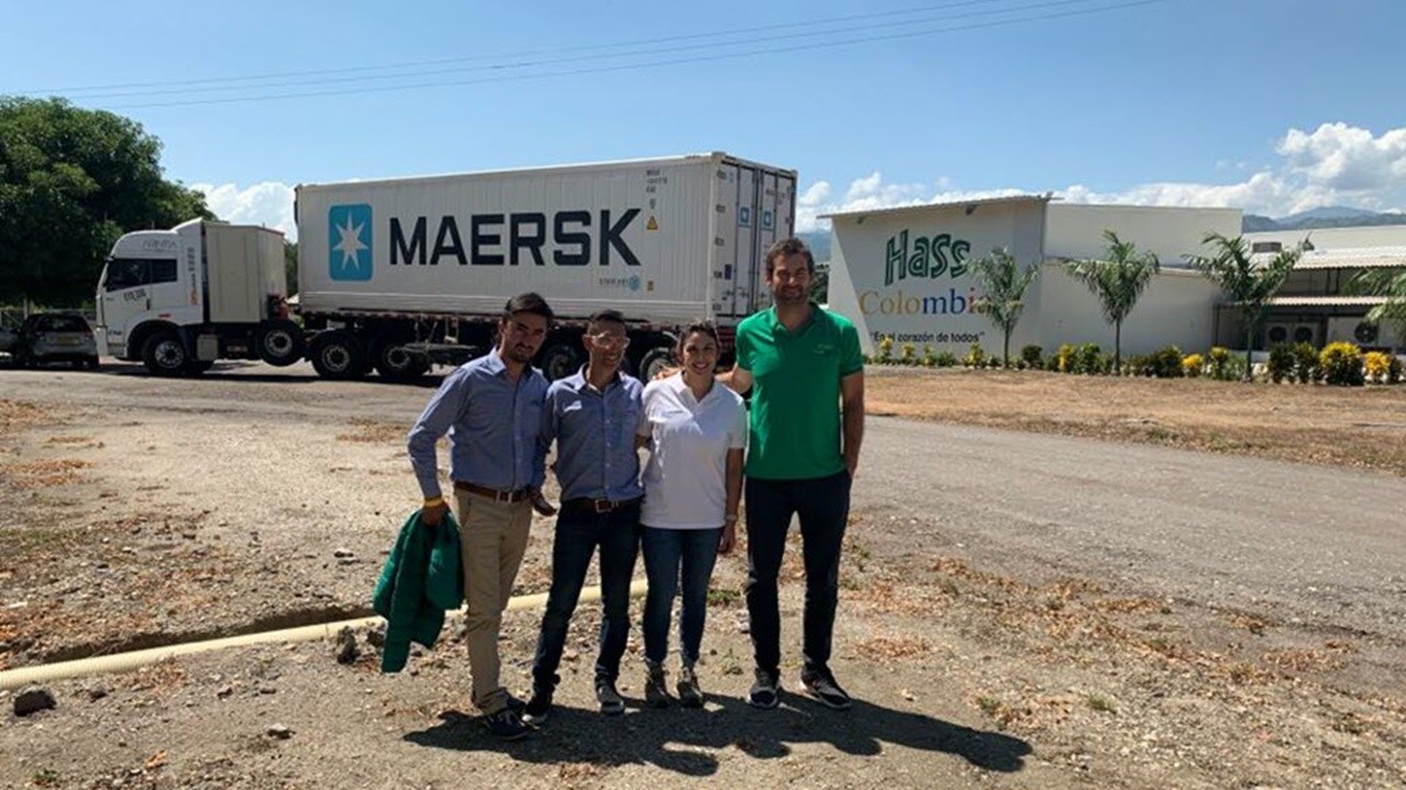 Avocados travel by train with Maersk