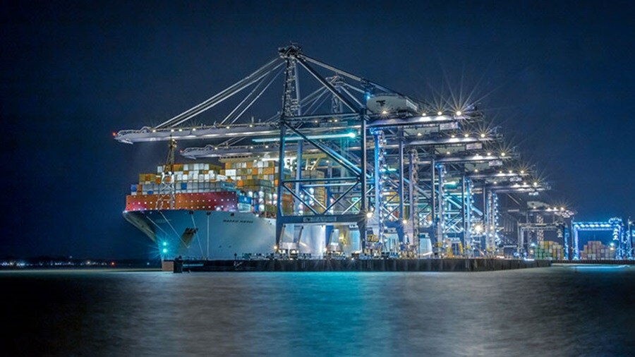 Lan market update January