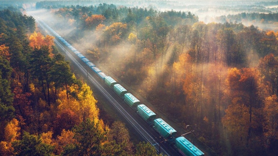 Train passing by through a forest