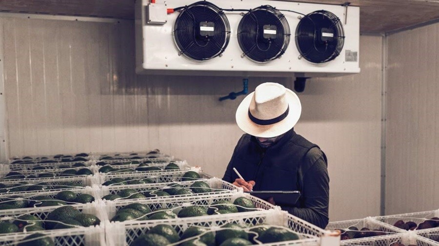 Trabajador con tableta