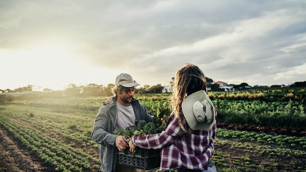 Dos agricultores intercambian una caja de verduras frescas en un campo al atardecer.