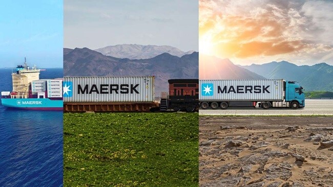 Visual of the largest container shipping company, featuring large vessels and stacked shipping containers at a port.