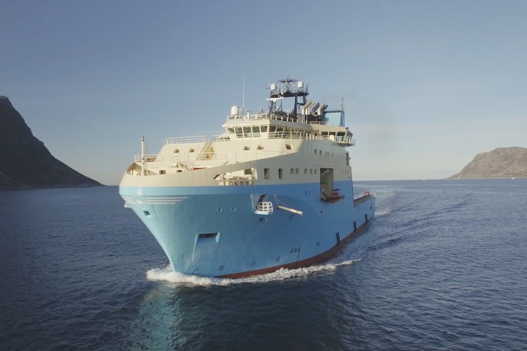 shark vessel maersk supply services