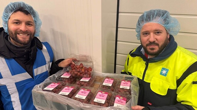 Two colleagues with a carton of grapes