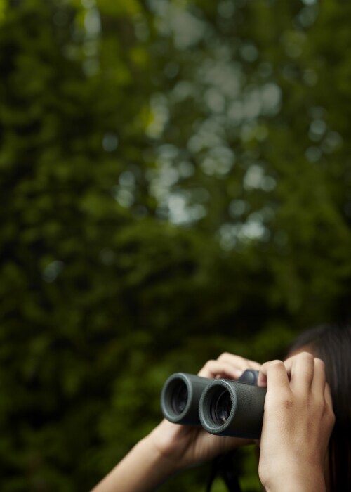 Emissions studio hero