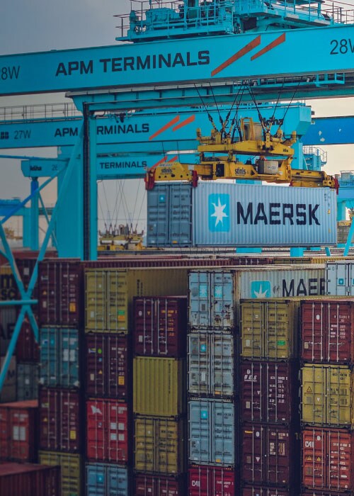 A large Maersk shipping container being lifted by a crane at an APM Terminals port, surrounded by stacked cargo containers in various colors.