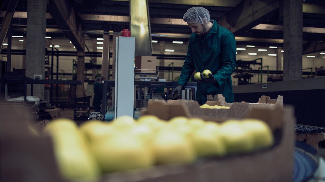 simplify-and-streamline