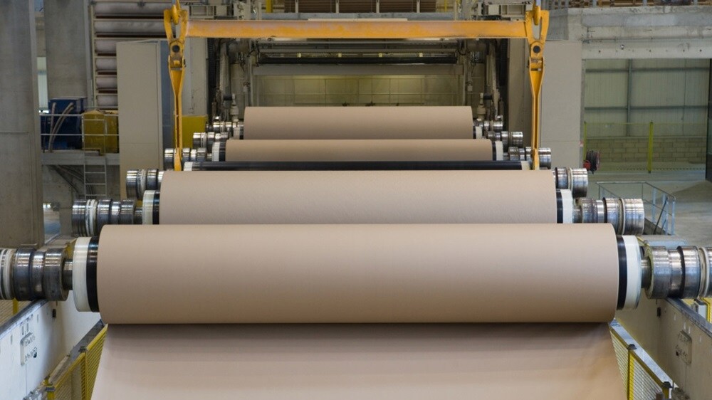 Large rolls of paper in pulp and paper production facility.