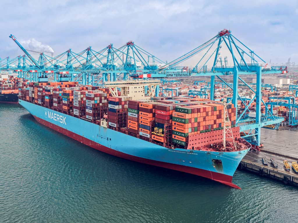Container vessels and terminal cranes working together to ensure reliable cargo movement across global supply chains