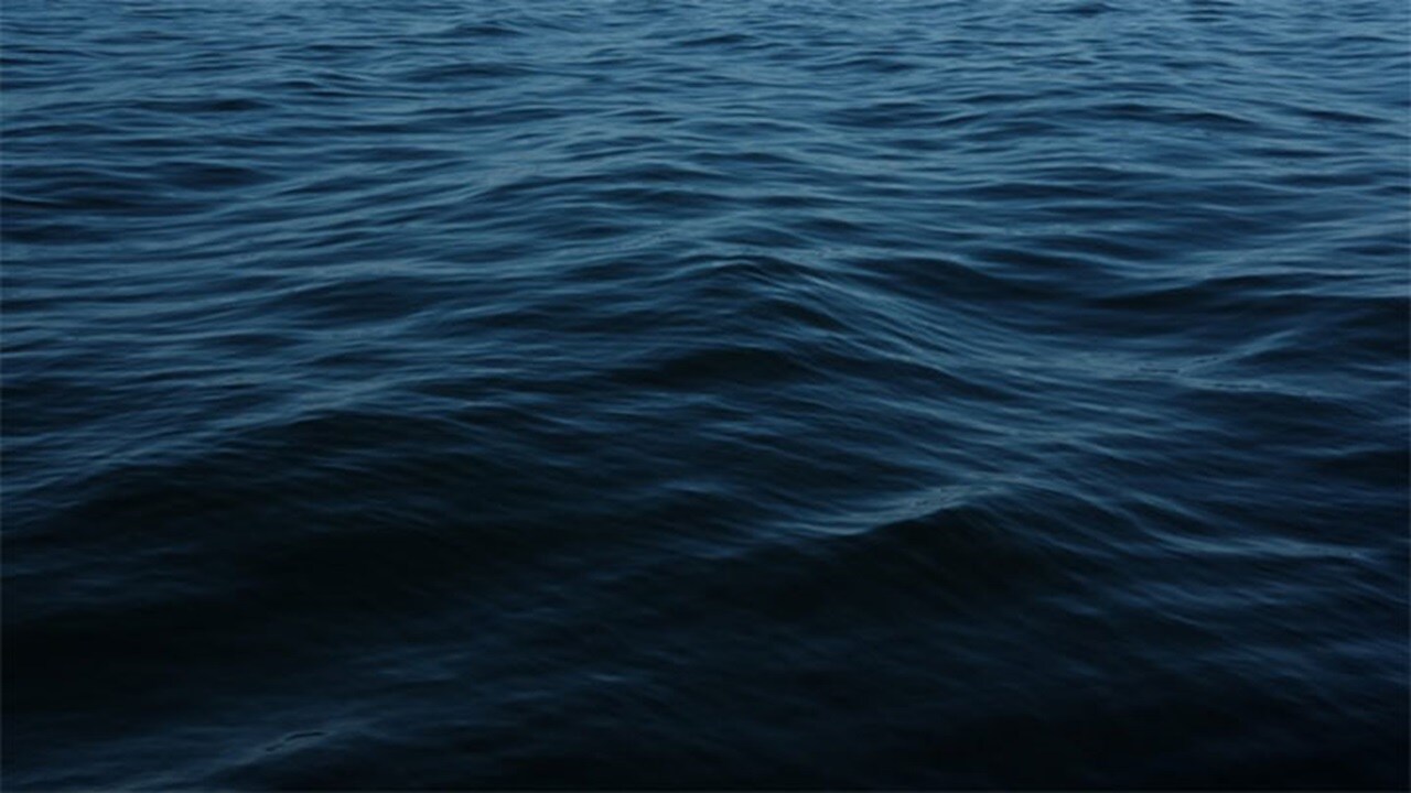 Manténgase actualizado con Maersk